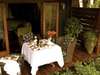 Arusha Coffee Lodge - patio